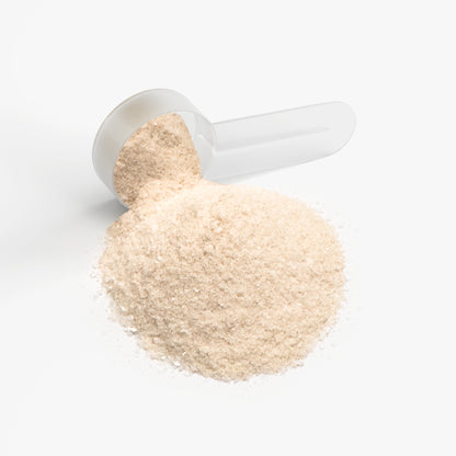 Hydration Blend Powder (Lemonade)